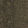 CB10308